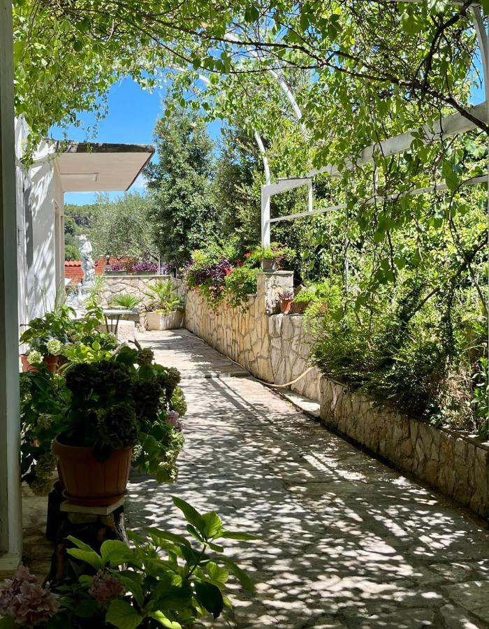 With Swimming Pool Apartman Jelsa (Hvar)